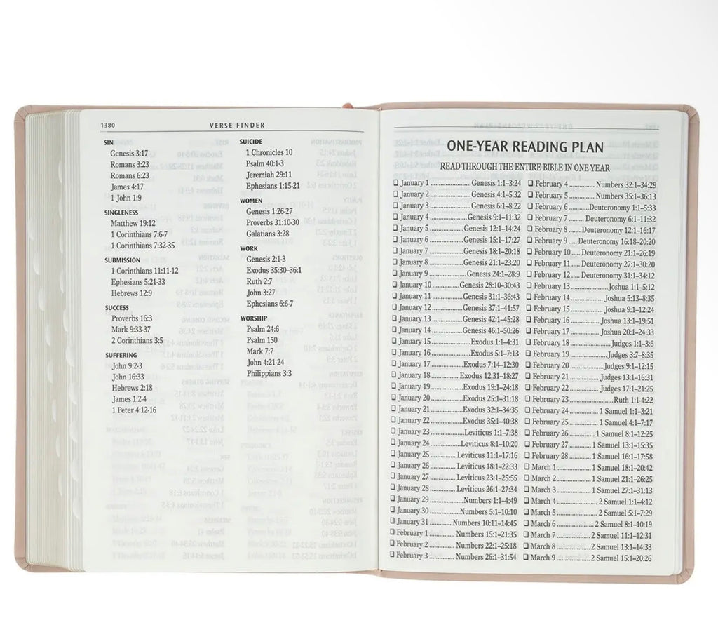 *PRE-ORDER* KJV Bible Giant Print Full-Size Leather, Dusty Pink