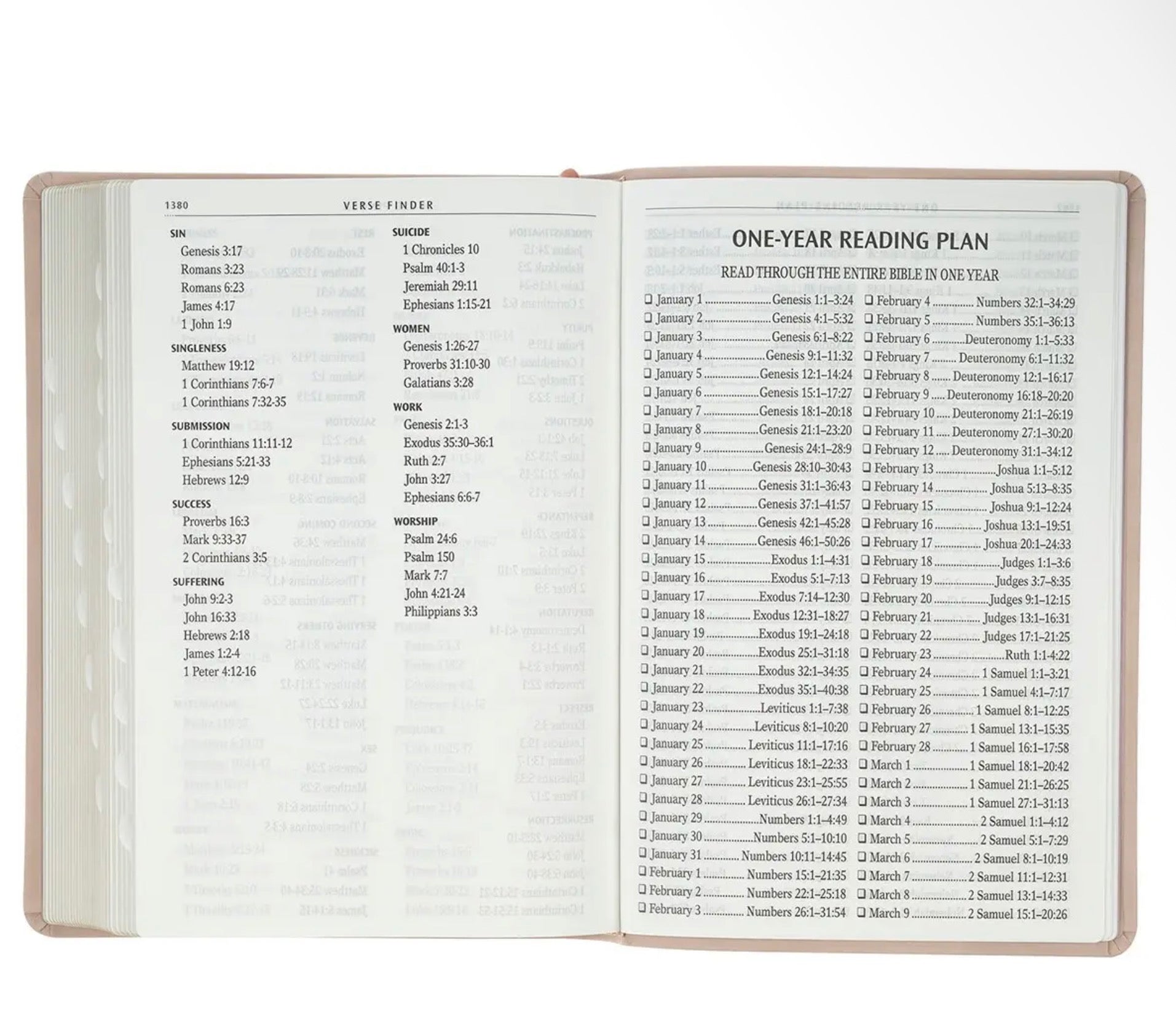 *PRE-ORDER* KJV Bible Giant Print Full-Size Leather, Dusty Pink