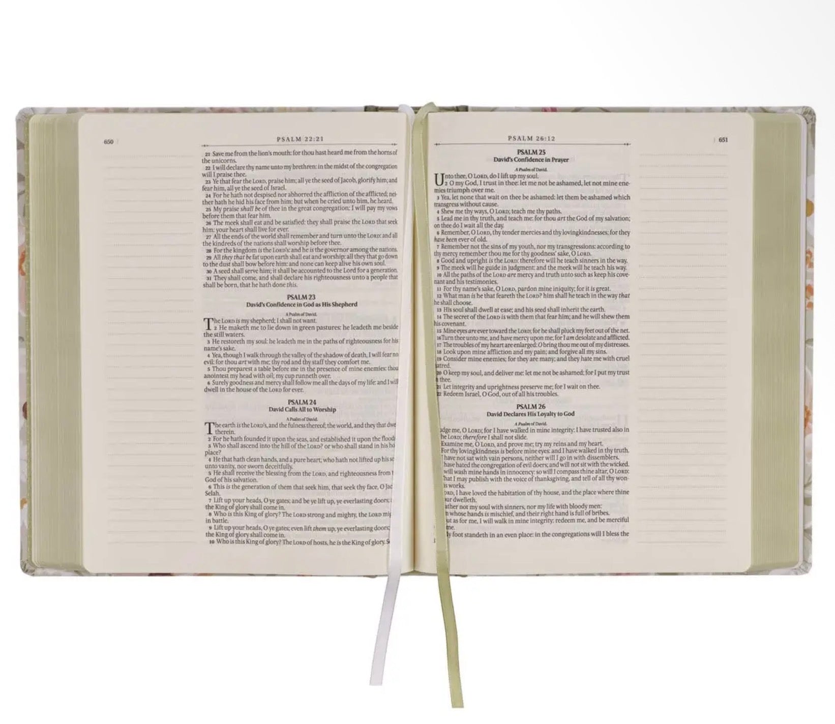 *PRE-ORDER* KJV Large Print Note Taking Bible