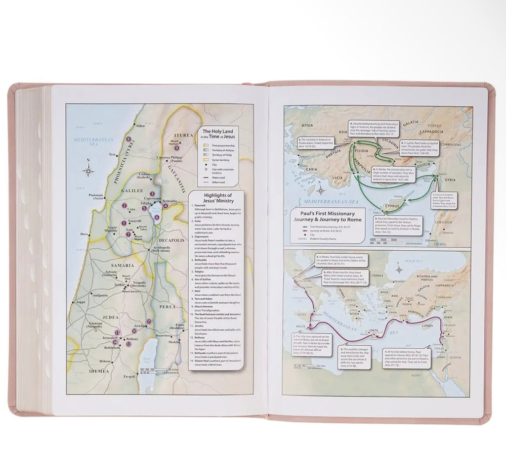*PRE-ORDER* KJV Bible Giant Print Full-Size Leather, Dusty Pink