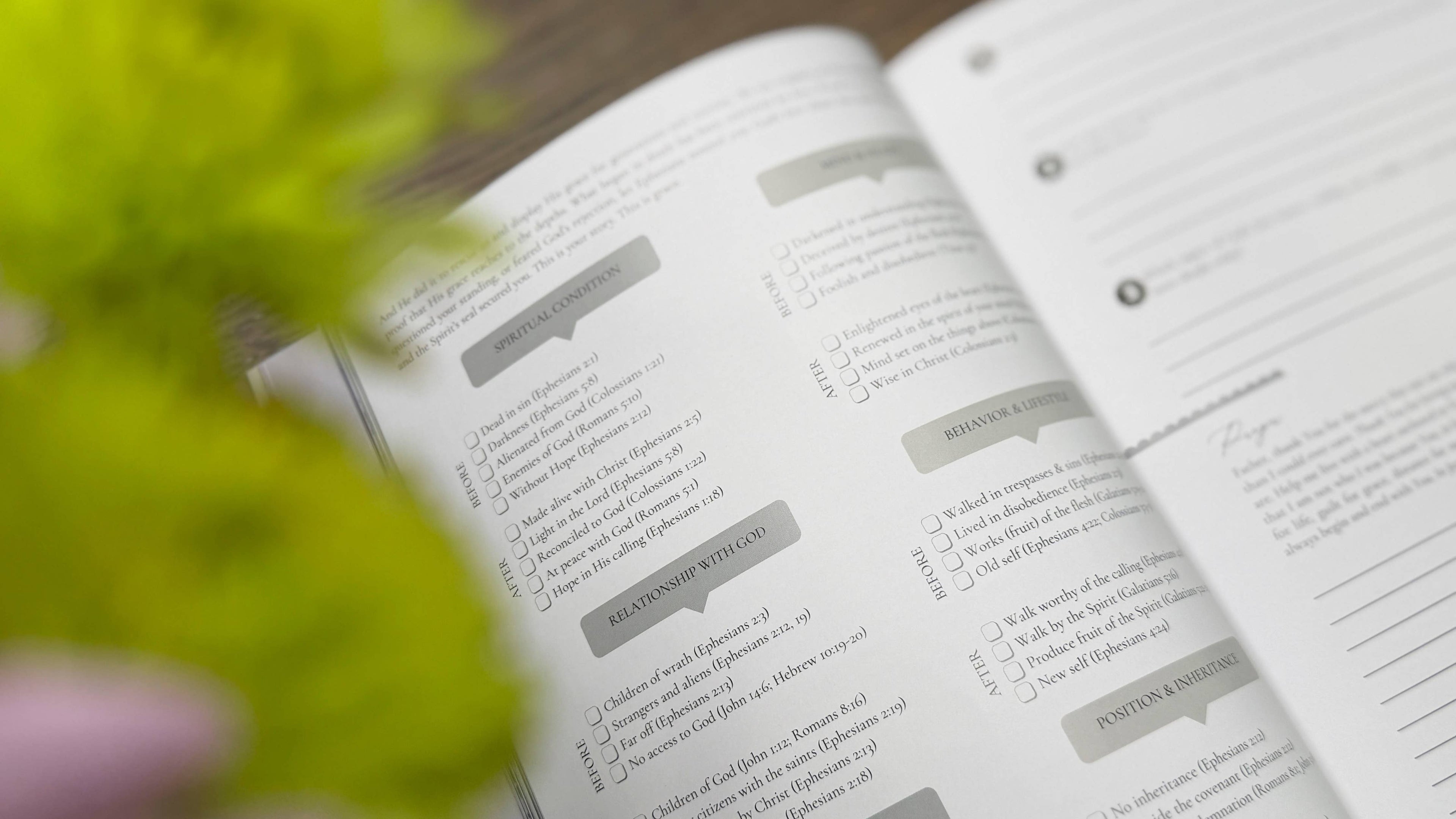 Ephesians Bible Study | Immeasurable