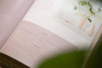 Galatians Bible Study | Extravagant